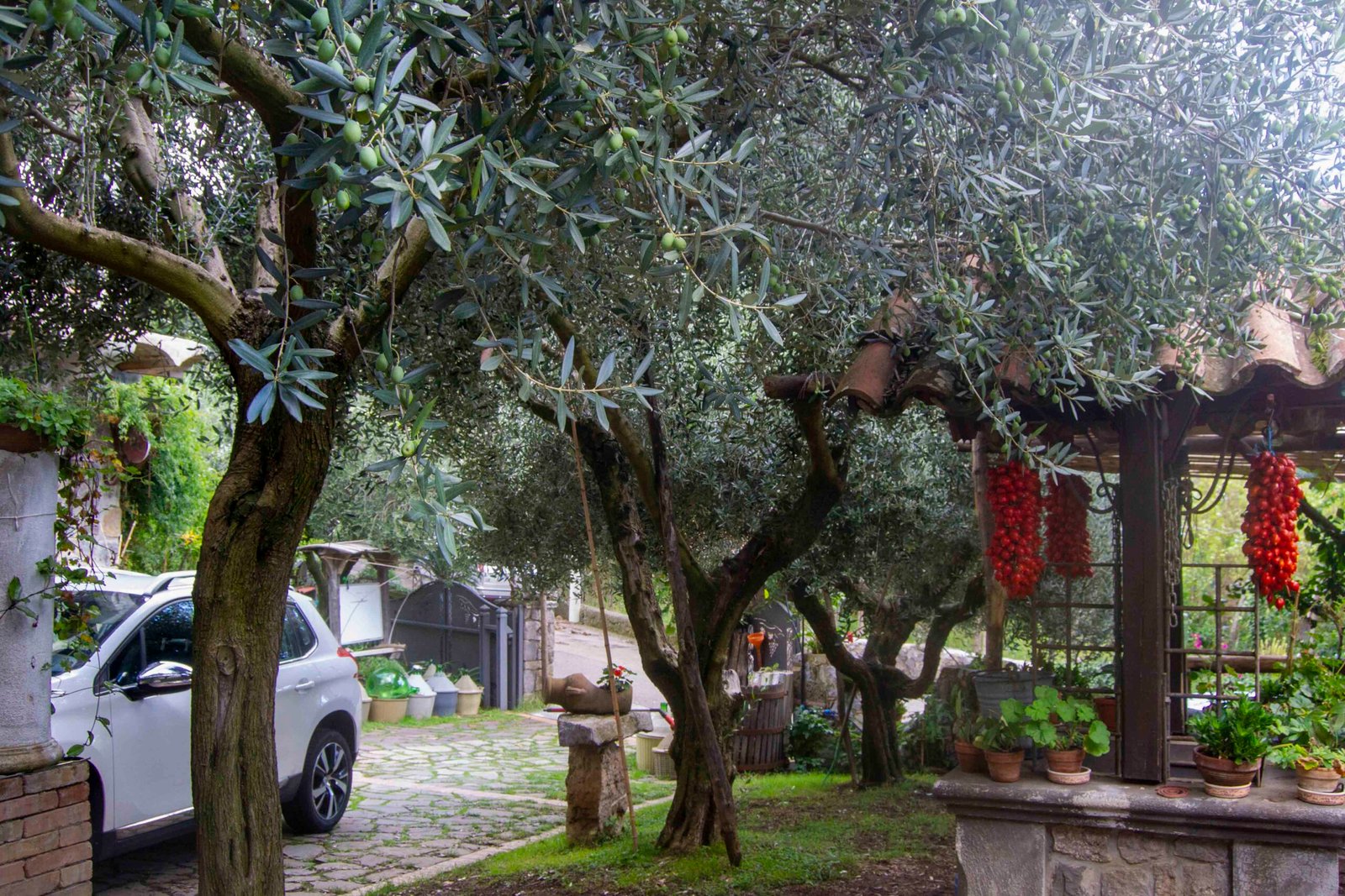 Farm-to-Table Bliss at La Vigna Degli Dei Winery