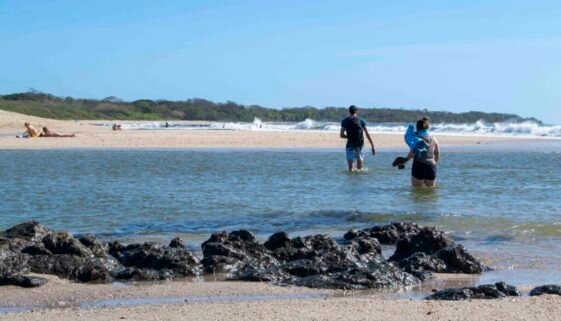 Tamarindo's Spacious Public Beaches