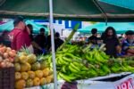 A Vibrant Adventure at the Local Fruit Market