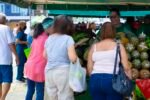 A Vibrant Adventure at the Local Fruit Market