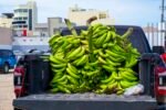 A Vibrant Adventure at the Local Fruit Market