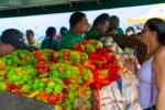 A Vibrant Adventure at the Local Fruit Market