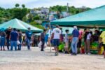 A Vibrant Adventure at the Local Fruit Market