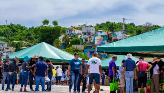 A Vibrant Adventure at the Local Fruit Market