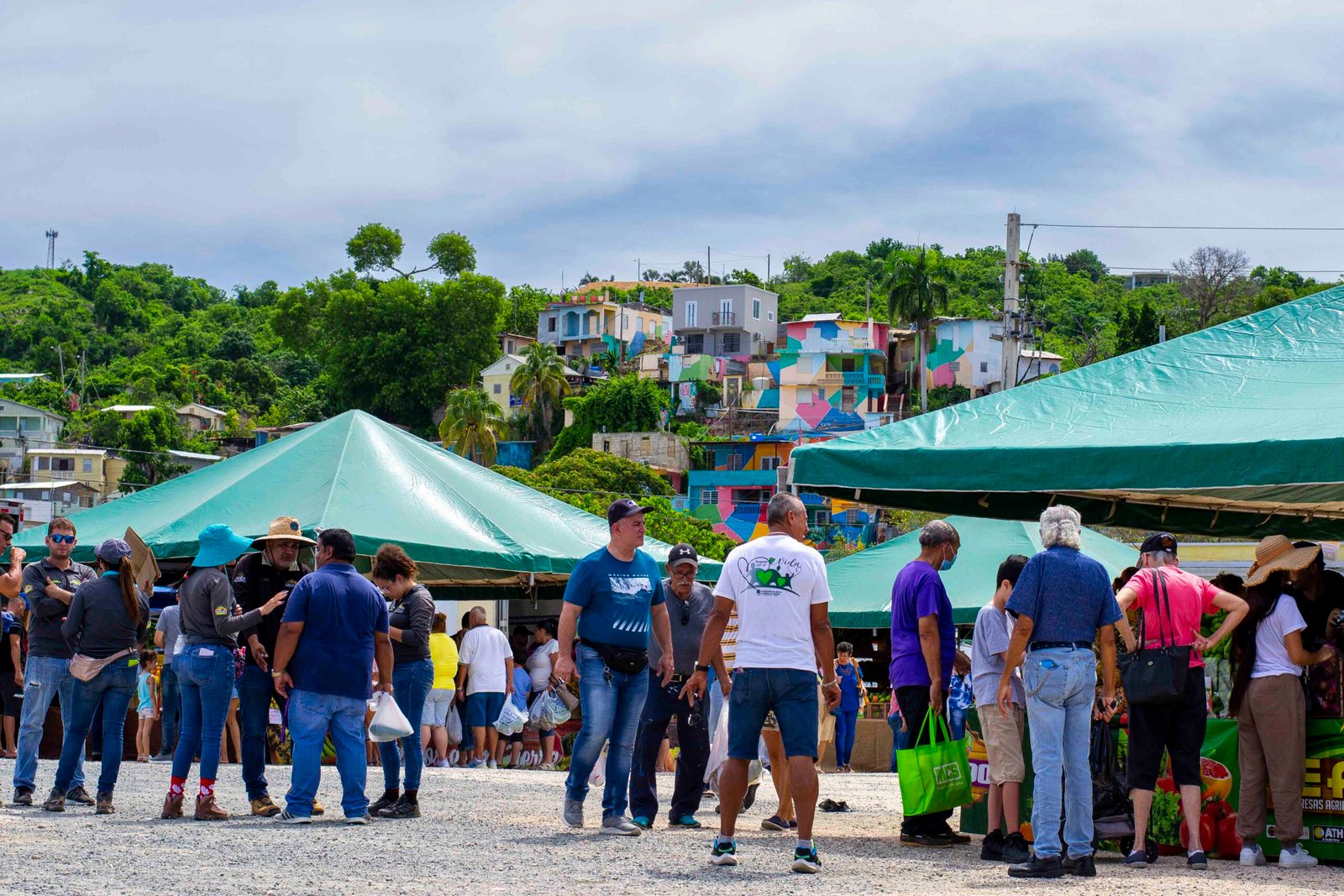 A Vibrant Adventure at the Local Fruit Market