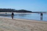 Under the Costa Rican Sun on Tamarindo Beach