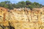 Incredible Journey along Sun-Kissed Coast of Algarve's Cliffs by Boat