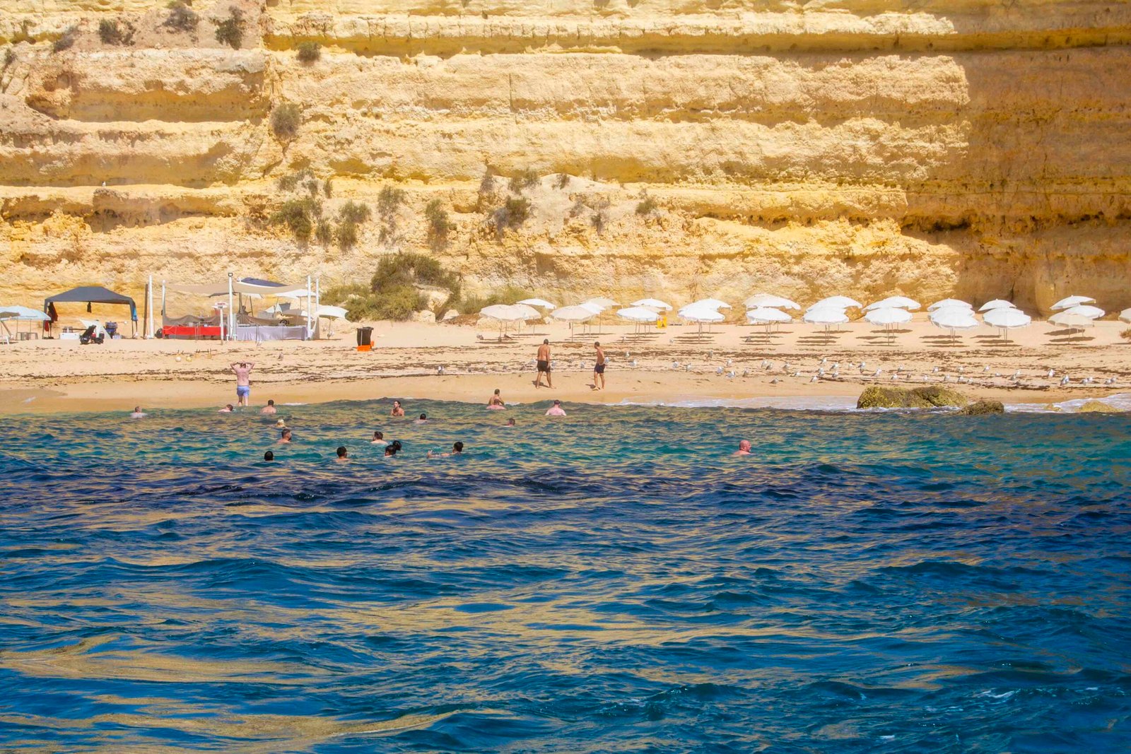 Seafood, Sun and Caves on a Algarve Secluded Beach