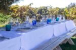 Luxurious Farm-to-Table Experience at Morgado do Quintão