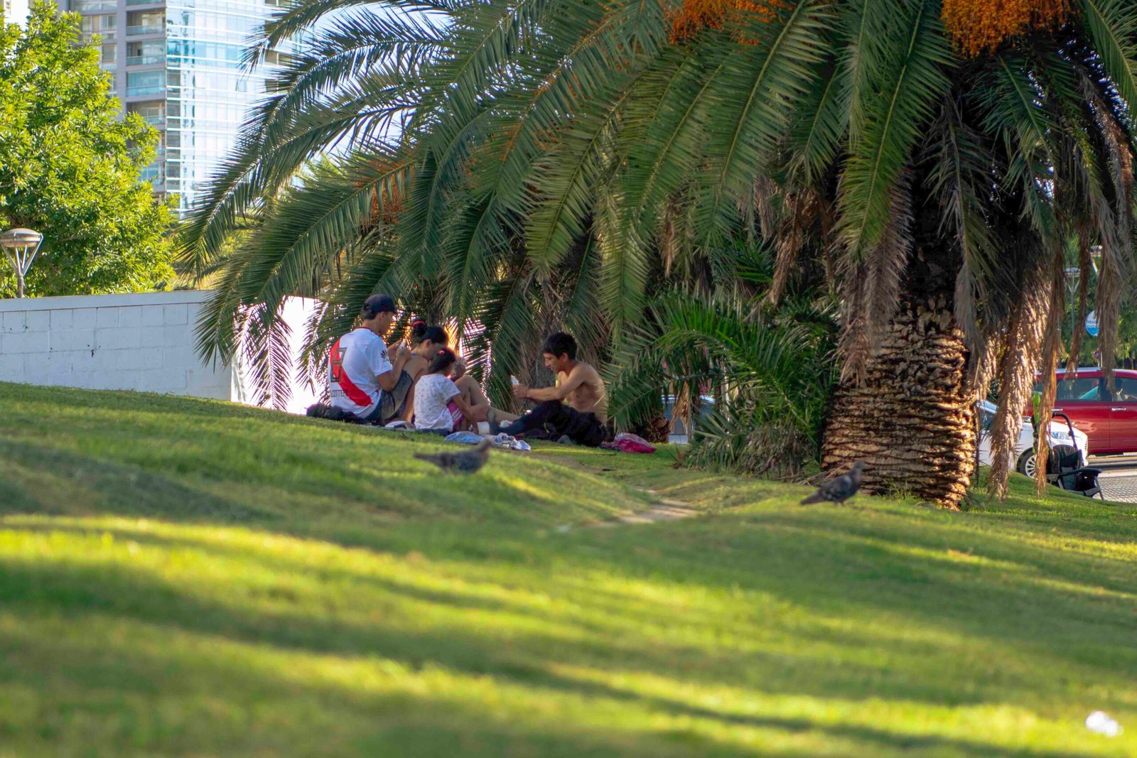 DSC_1346-1 DSC_1346-1