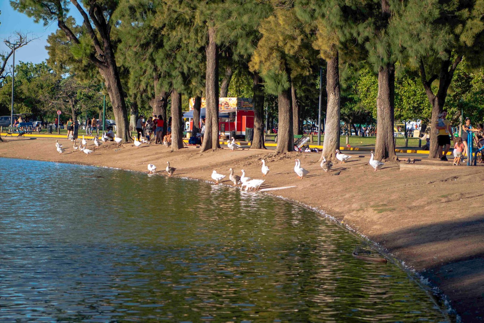 DSC_1352-1 DSC_1352-1