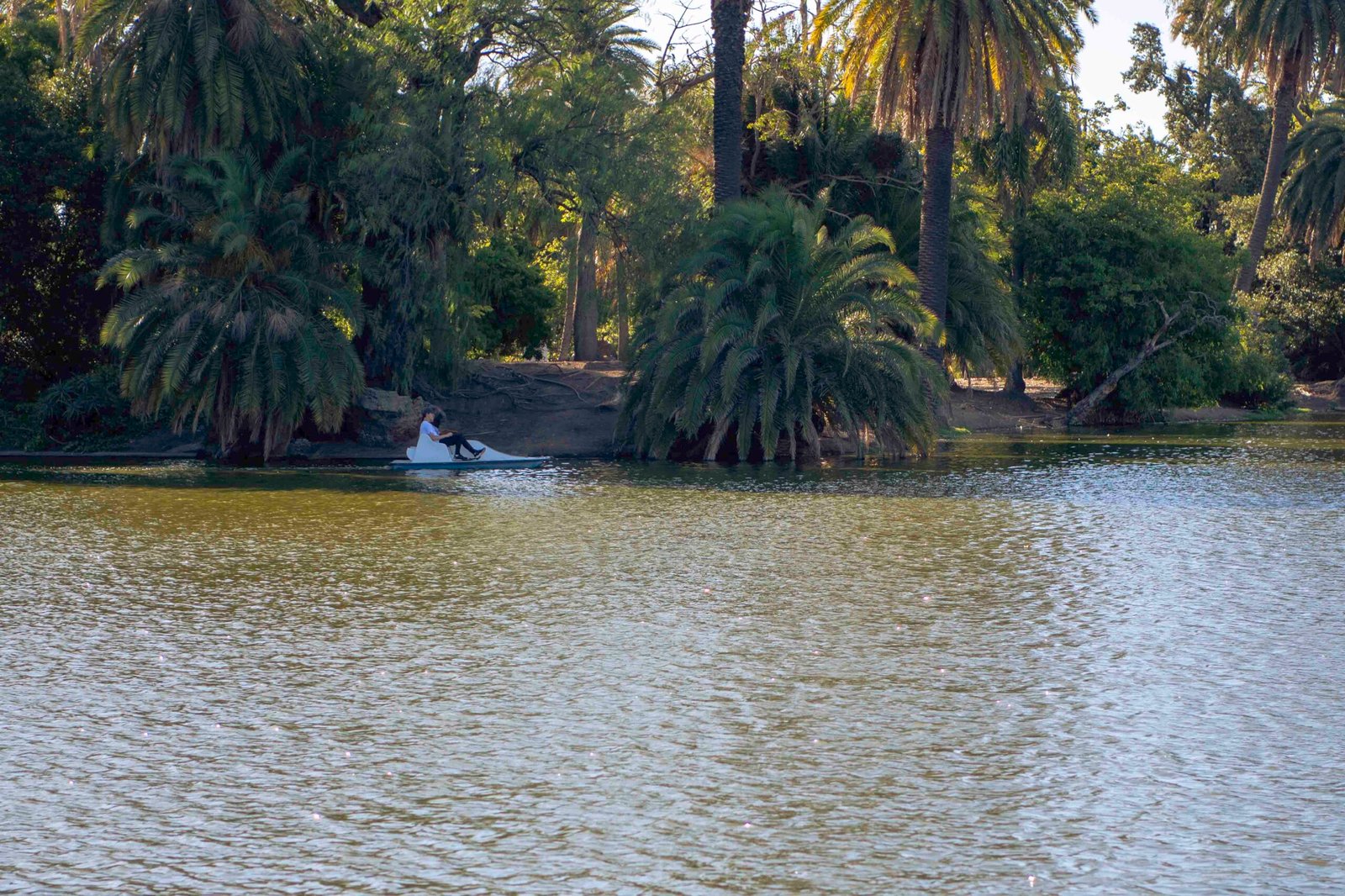 DSC_1353-1 DSC_1353-1