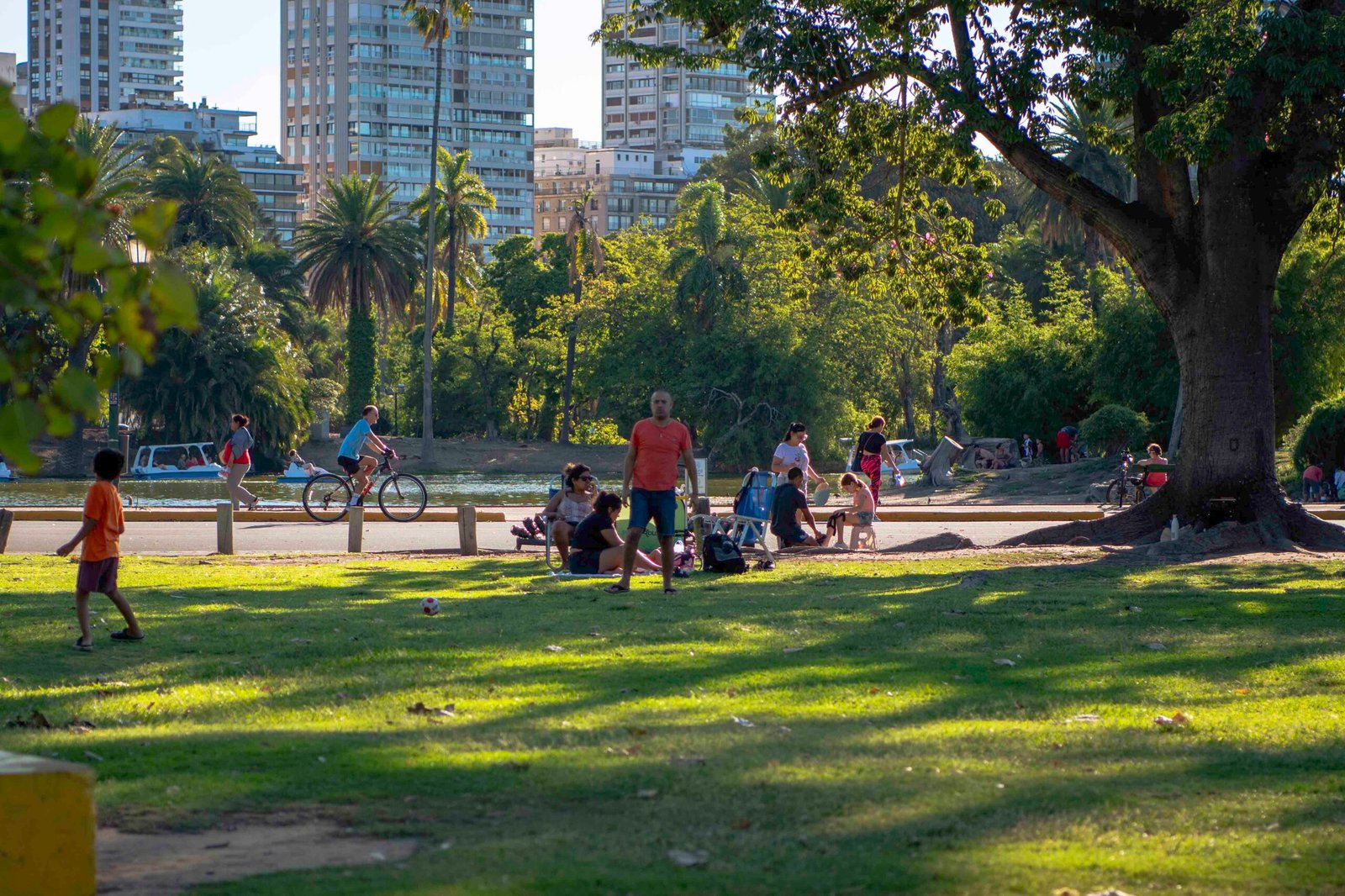 DSC_1355-1 DSC_1355-1