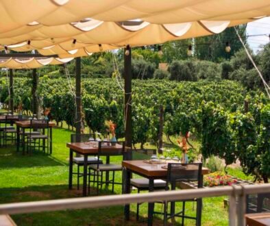 Feast at Bodega Roberto Bonfanti Feast at Bodega Roberto Bonfanti
