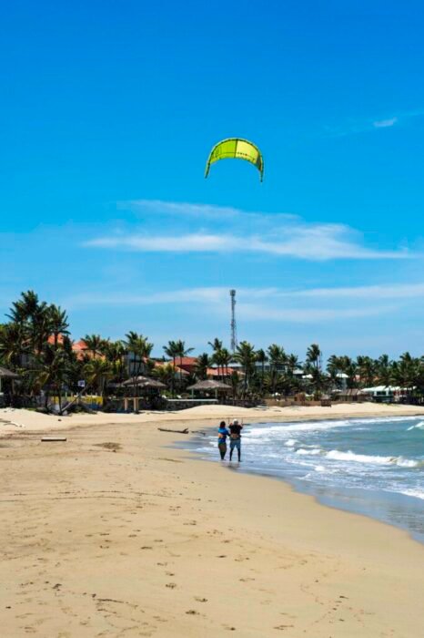 DSC_2445 - Copy DSC_2445 - Copy