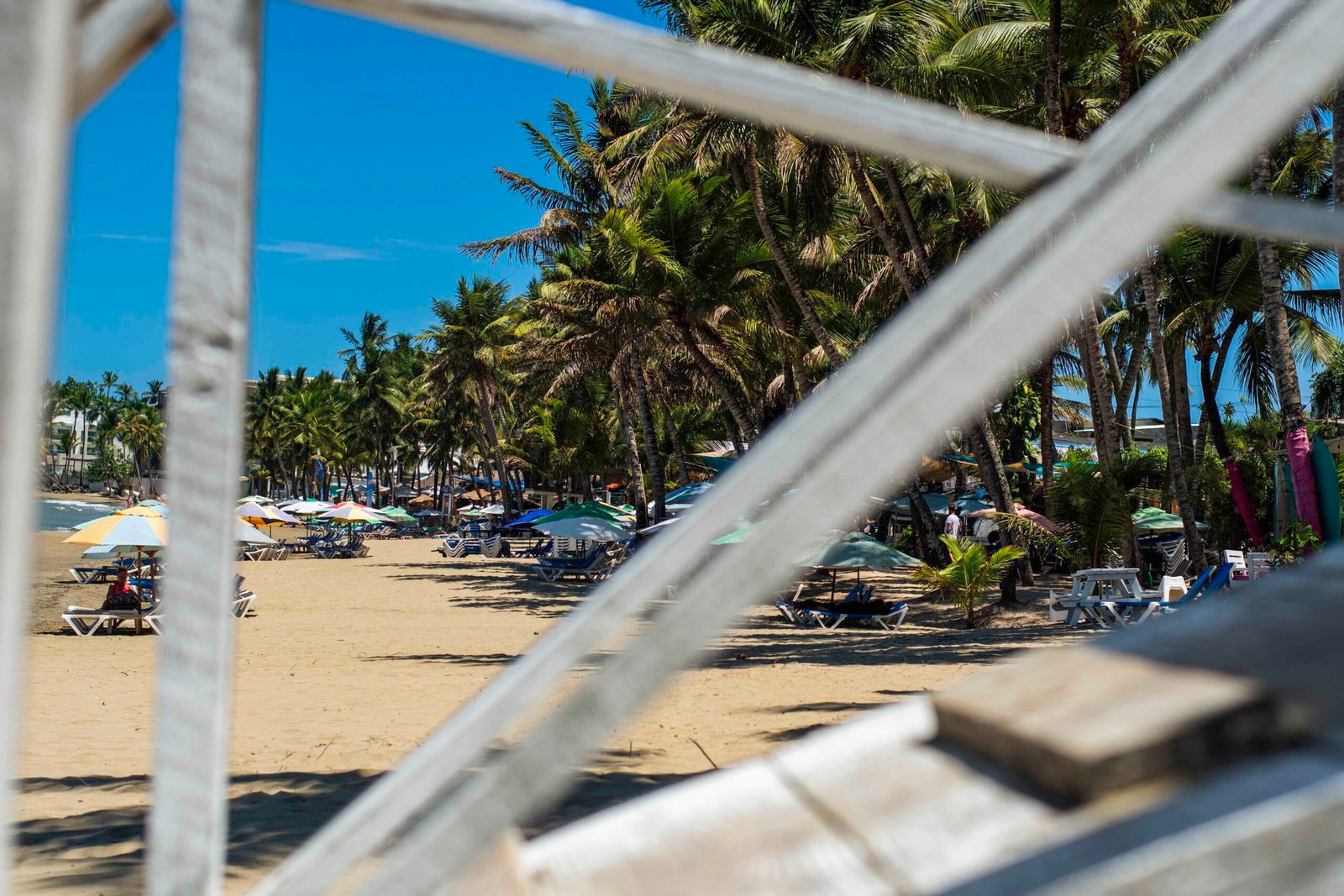 DSC_2447 - Copy DSC_2447 - Copy