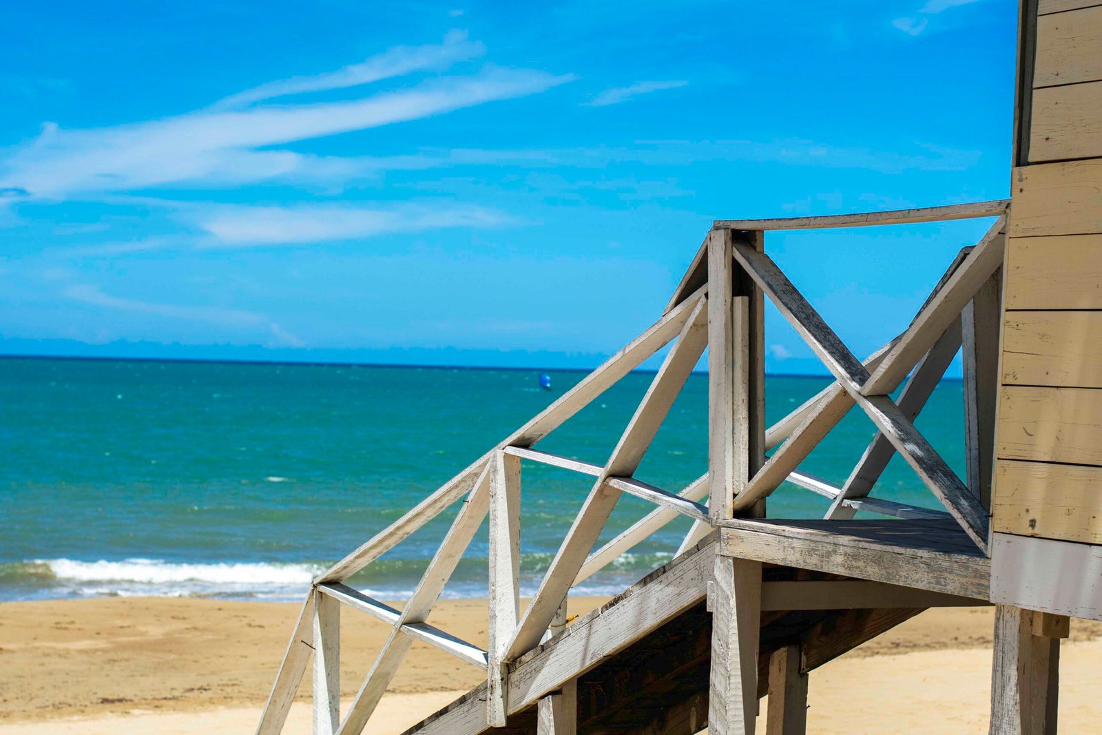 DSC_2448 - Copy DSC_2448 - Copy