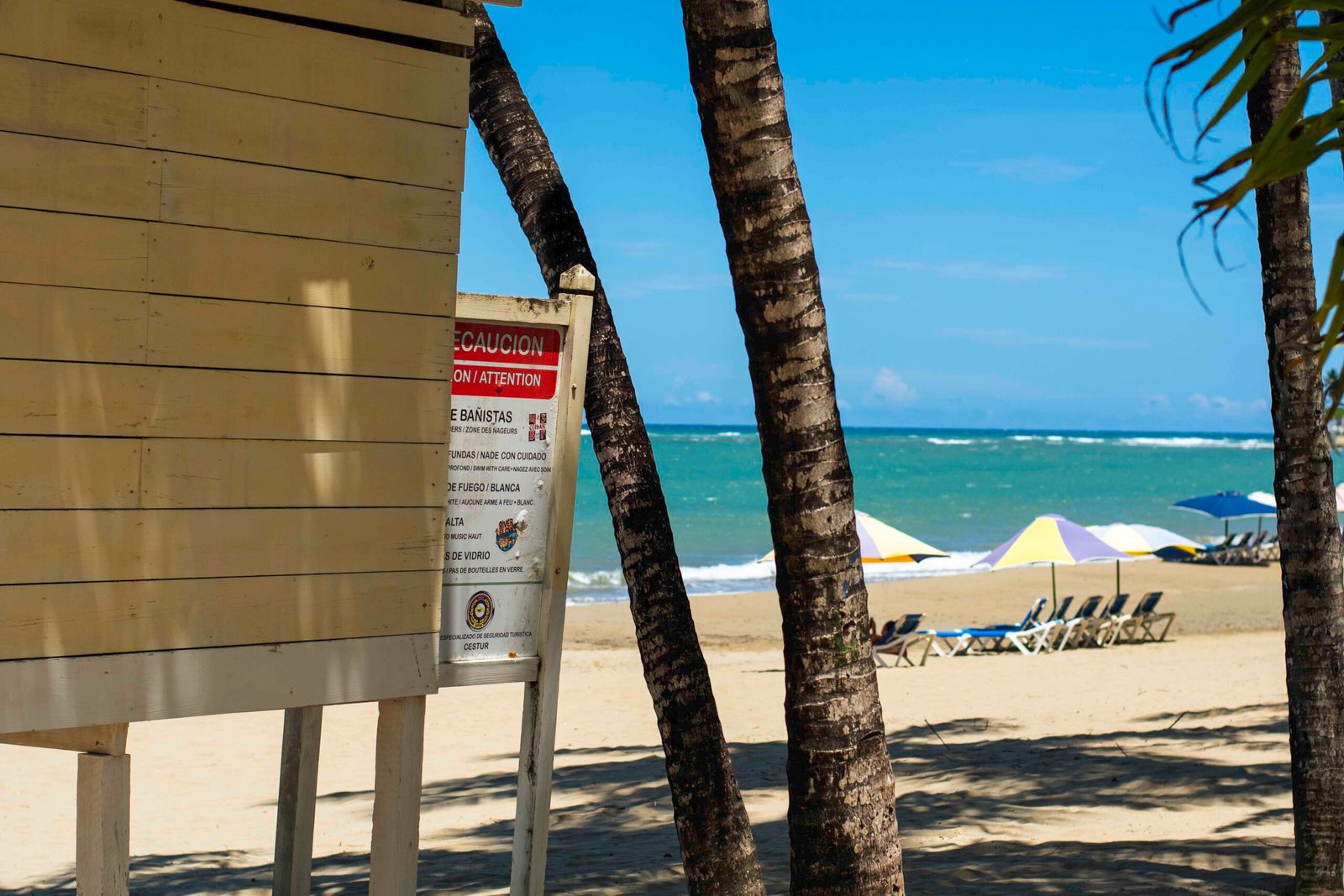 DSC_2450 - Copy DSC_2450 - Copy