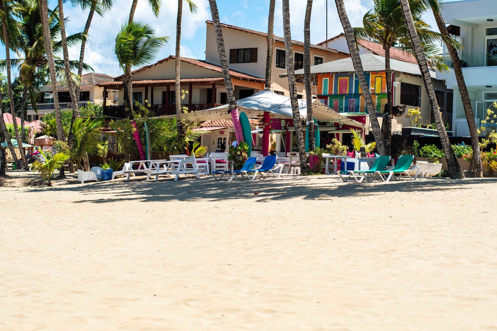 DSC_2451 - Copy DSC_2451 - Copy