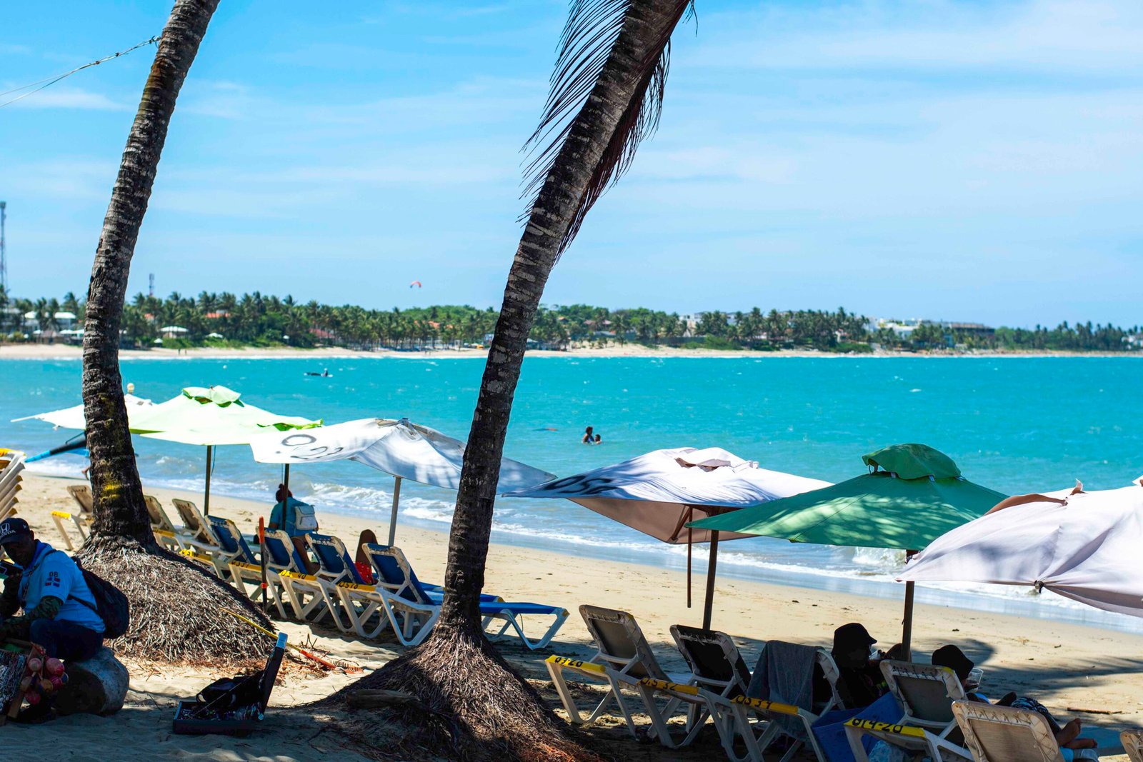 DSC_2459 - Copy DSC_2459 - Copy