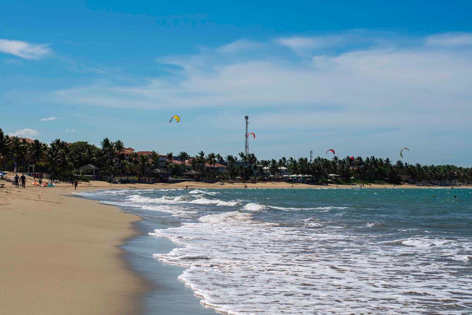 DSC_2463 - Copy DSC_2463 - Copy