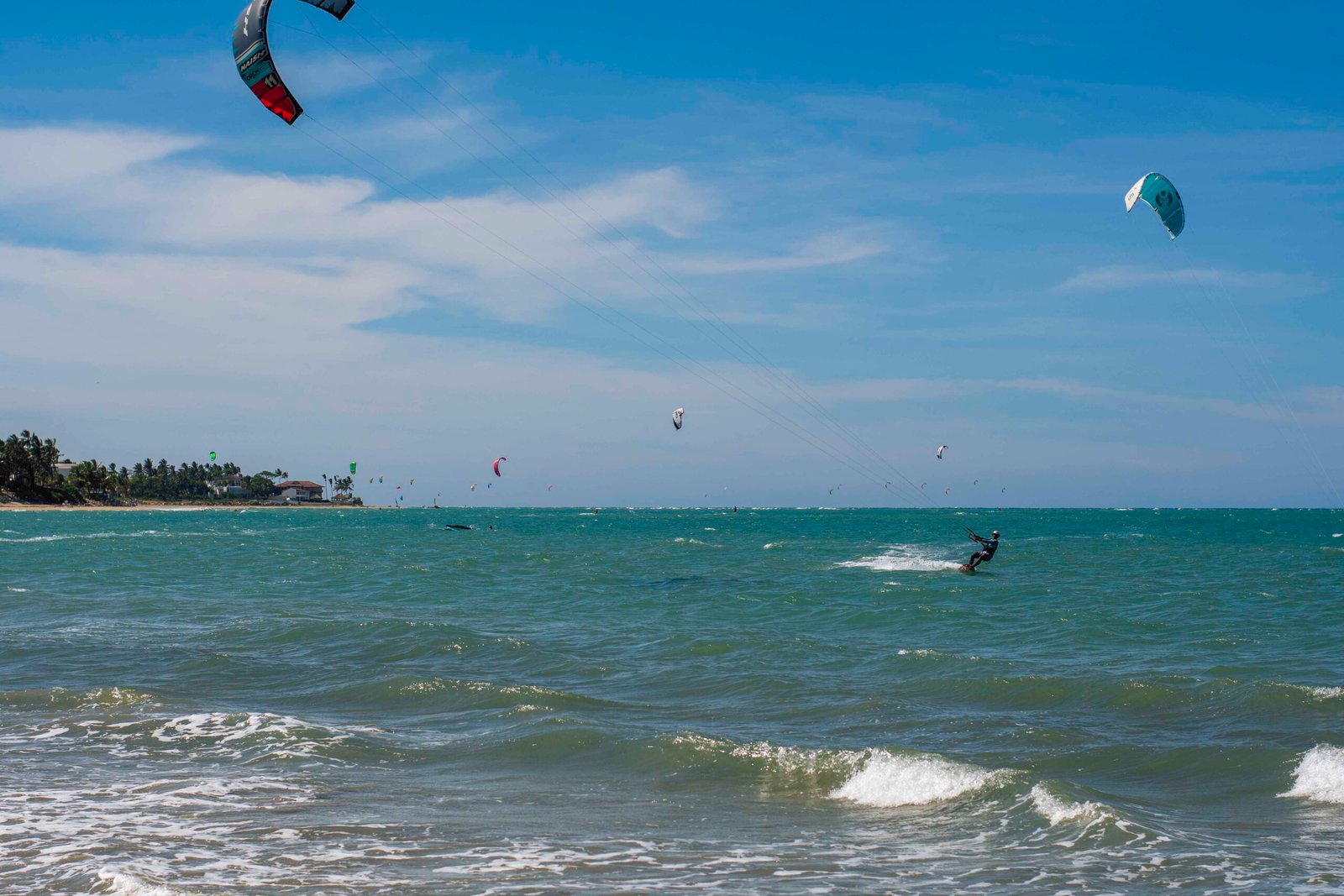 DSC_2467 - Copy DSC_2467 - Copy