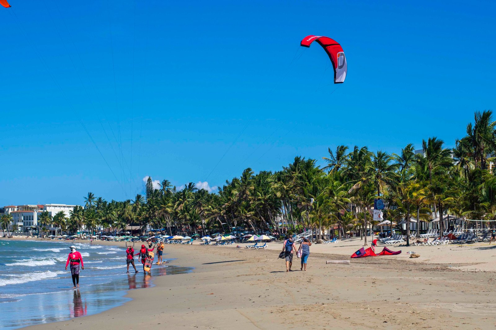 DSC_2471 - Copy DSC_2471 - Copy