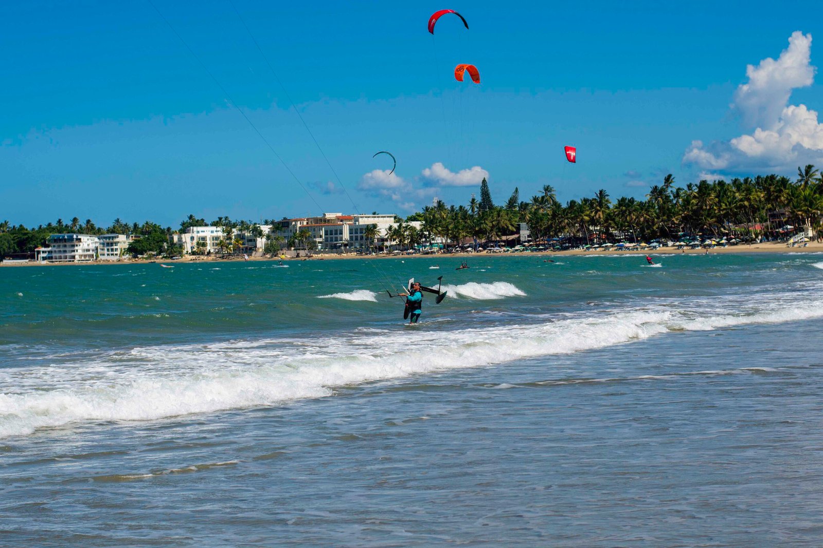 DSC_2474 - Copy DSC_2474 - Copy