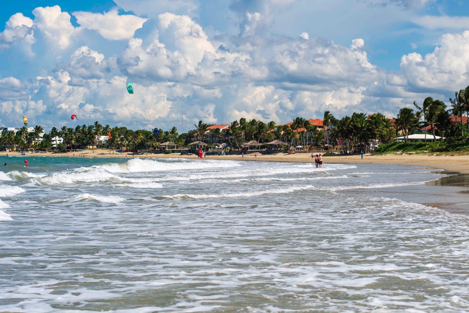 DSC_2477 - Copy DSC_2477 - Copy