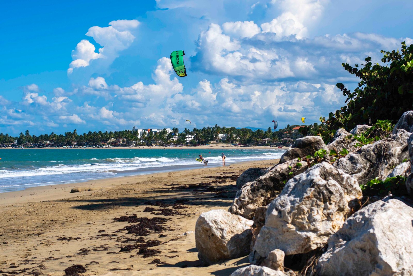 DSC_2479 - Copy DSC_2479 - Copy