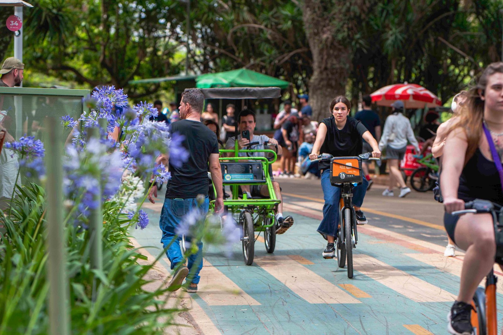 Exploring Ibirapuera Park São Paulo's green heart,